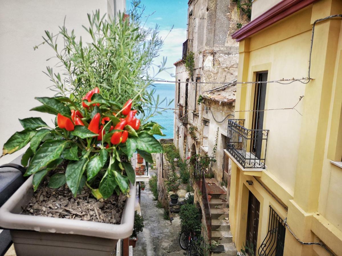 皮佐 A Casa Di Noemi酒店 外观 照片